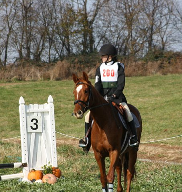 Shaylee entering the stadium
