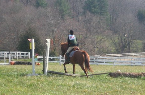 Shaylee last cross county jump