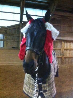 Merry Christmas from Warrick