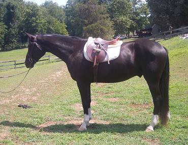 Dia'Monte confirmation shot