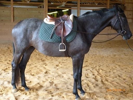 Soraya full right side