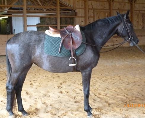 Soraya full right side 2